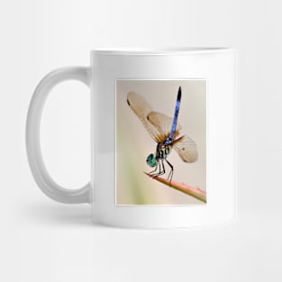 Dragonfly Mug